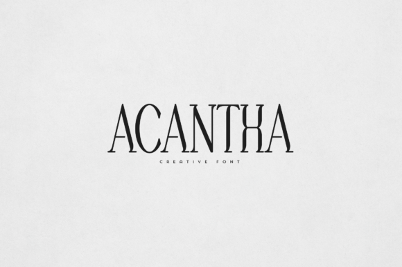 Acantha: The Elegant Serif Typeface for Modern Web Design