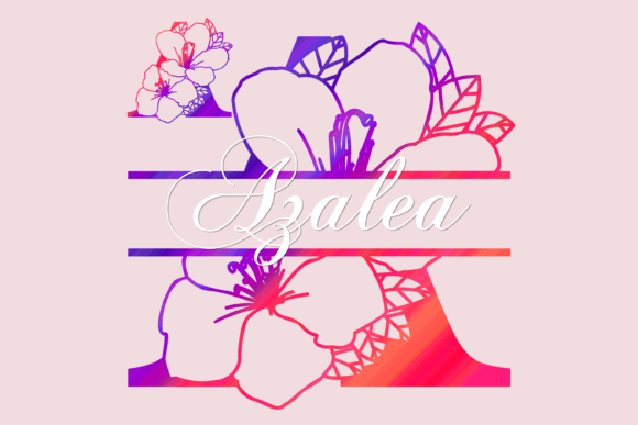 Azalea Split: The Elegant Decorative Font for Scroll-Stopping Visuals
