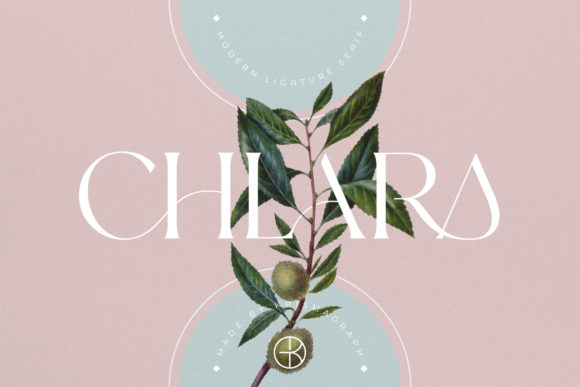Chlara: The Serif Typeface That Transformed My Small Business Brand