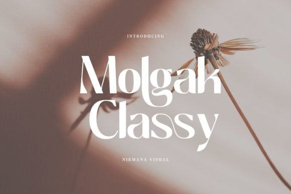Molgak Classy: The Elegant Sans Serif for Modern Craft Brands