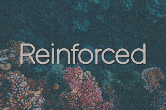 Reinforced: The Sans Serif Typeface for Scroll-Stopping Brand Content
